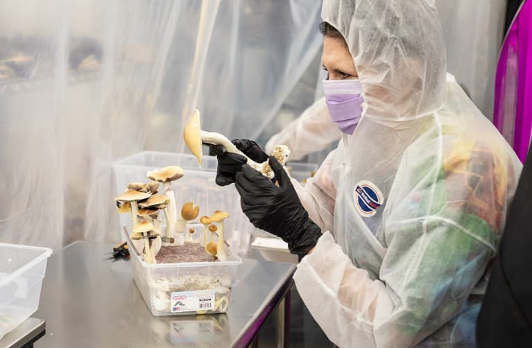 Trump announces executive order to accelerate medical research and access to psychedelic drugs