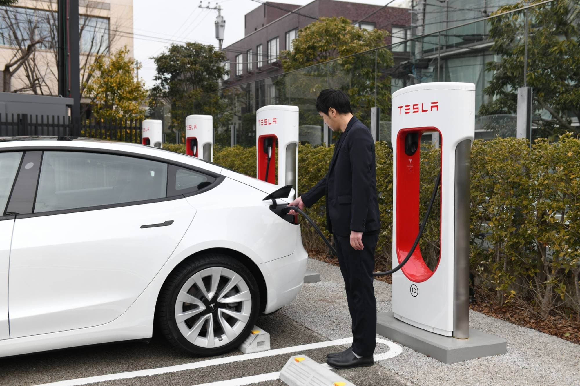 Tesla Records 182% Surge in Japanese Vehicle Registrations